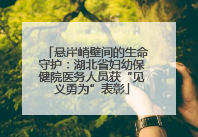 悬崖峭壁间的生命守护：湖北省妇幼保健院医务人员获“见义勇为”表彰