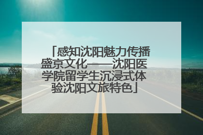 感知沈阳魅力传播盛京文化——沈阳医学院留学生沉浸式体验沈阳文旅特色