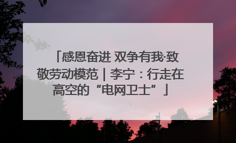 感恩奋进 双争有我·致敬劳动模范｜李宁：行走在高空的“电网卫士”