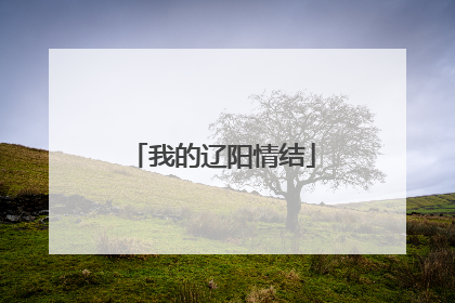 我的辽阳情结