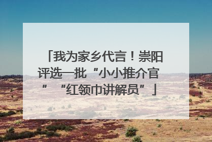 我为家乡代言！崇阳评选一批“小小推介官”“红领巾讲解员”