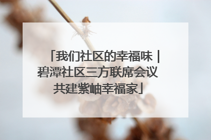 我们社区的幸福味｜碧潭社区三方联席会议共建紫岫幸福家