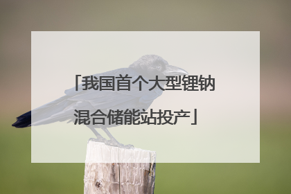 我国首个大型锂钠混合储能站投产