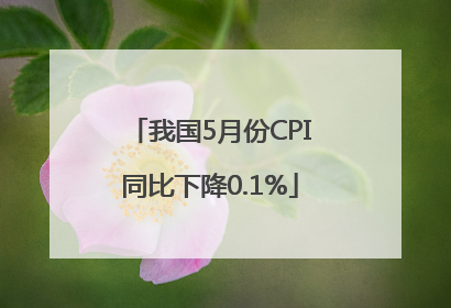 我国5月份CPI同比下降0.1%