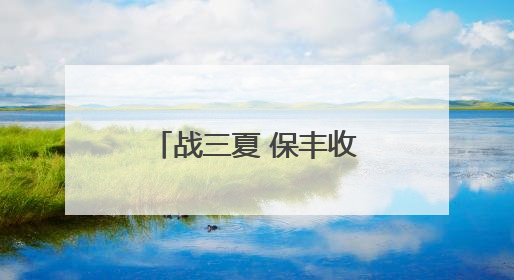 战三夏 保丰收丨新乡县：20万亩小麦种子田开启大规模收割