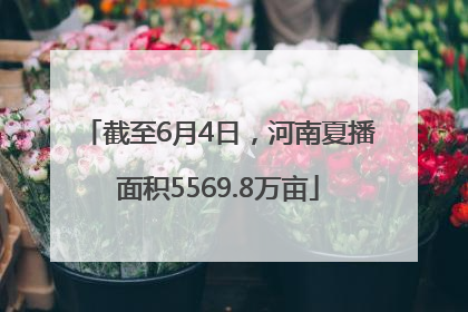 截至6月4日，河南夏播面积5569.8万亩
