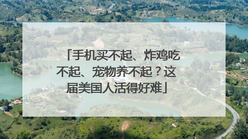 手机买不起、炸鸡吃不起、宠物养不起？这届美国人活得好难