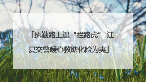 执勤路上遇“拦路虎” 江夏交警暖心救助化险为夷