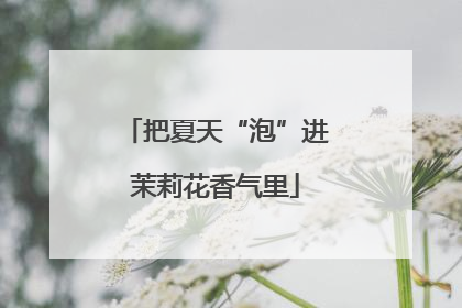 把夏天“泡”进茉莉花香气里