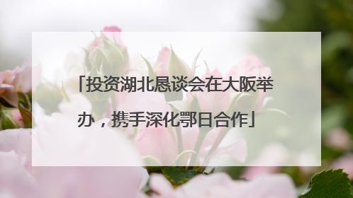 投资湖北恳谈会在大阪举办，携手深化鄂日合作