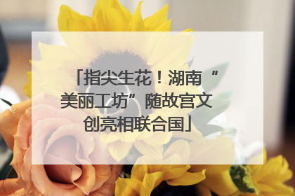 指尖生花！湖南“美丽工坊”随故宫文创亮相联合国