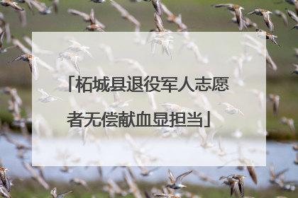 柘城县退役军人志愿者无偿献血显担当