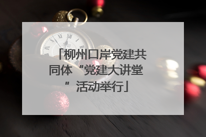 柳州口岸党建共同体“党建大讲堂”活动举行