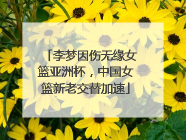 李梦因伤无缘女篮亚洲杯，中国女篮新老交替加速