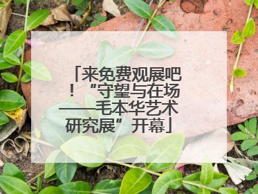 来免费观展吧！“守望与在场——毛本华艺术研究展”开幕