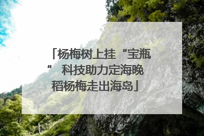 杨梅树上挂“宝瓶” 科技助力定海晚稻杨梅走出海岛