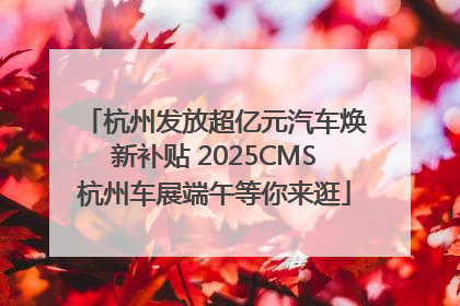 杭州发放超亿元汽车焕新补贴 2025CMS杭州车展端午等你来逛