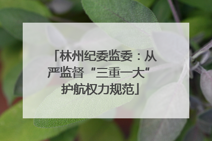林州纪委监委：从严监督“三重一大” 护航权力规范