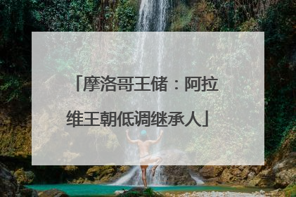 摩洛哥王储：阿拉维王朝低调继承人