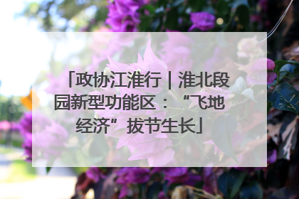 政协江淮行｜淮北段园新型功能区：“飞地经济”拔节生长