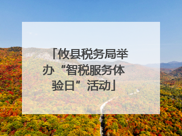 攸县税务局举办“智税服务体验日”活动