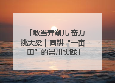 敢当弄潮儿 奋力挑大梁｜同耕“一亩田”的崇川实践