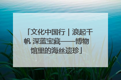 文化中国行｜浪起千帆 深蓝宝藏——博物馆里的海丝遗珍