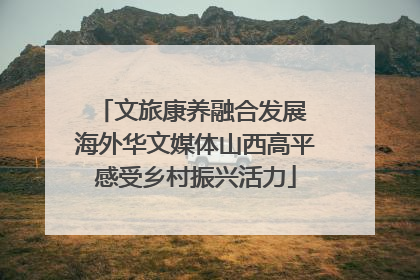 文旅康养融合发展 海外华文媒体山西高平感受乡村振兴活力
