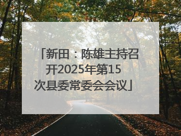 新田：陈雄主持召开2025年第15次县委常委会会议