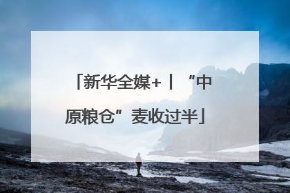 新华全媒+丨“中原粮仓”麦收过半
