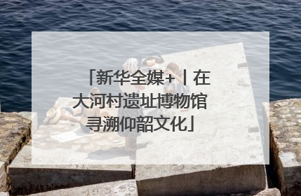 新华全媒+丨在大河村遗址博物馆寻溯仰韶文化