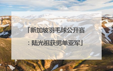 新加坡羽毛球公开赛：陆光祖获男单亚军