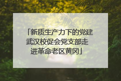 新质生产力下的党建 武汉校促会党支部走进革命老区黄冈