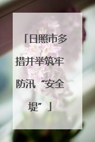日照市多措并举筑牢防汛“安全堤”