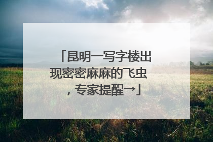 昆明一写字楼出现密密麻麻的飞虫，专家提醒→