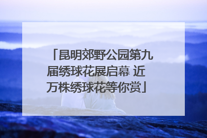 昆明郊野公园第九届绣球花展启幕 近万株绣球花等你赏