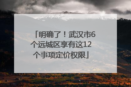 明确了！武汉市6个远城区享有这12个事项定价权限