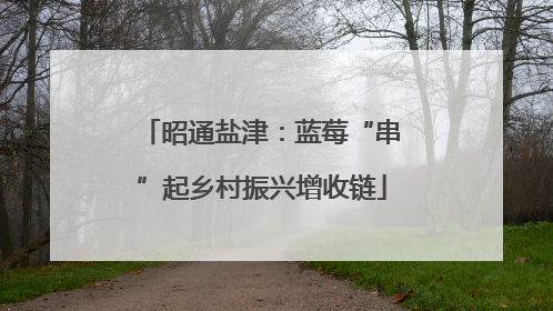 昭通盐津：蓝莓“串”起乡村振兴增收链