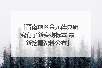 晋南地区金元葬具研究有了新实物标本 最新挖掘资料公布