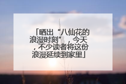 晒出“八仙花的浪漫时刻”，今天，不少读者将这份浪漫延续到家里