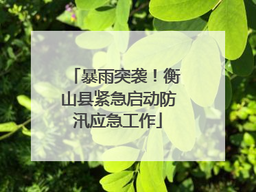 暴雨突袭！衡山县紧急启动防汛应急工作