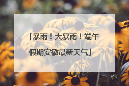 暴雨！大暴雨！端午假期安徽最新天气
