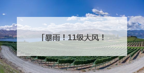 暴雨！11级大风！出行请关注天气！