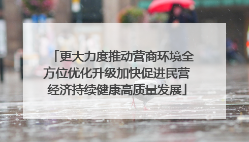 更大力度推动营商环境全方位优化升级加快促进民营经济持续健康高质量发展
