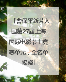 曹保平新片入围第27届上海国际电影节主竞赛单元，全名单揭晓