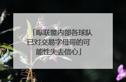曝联盟内部各球队已对交易字母哥的可能性失去信心