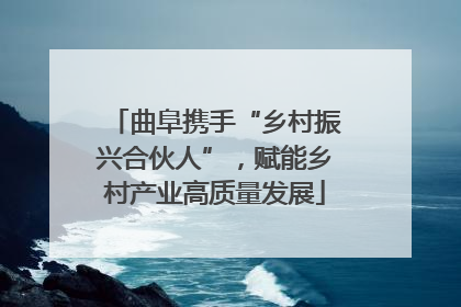 曲阜携手“乡村振兴合伙人”，赋能乡村产业高质量发展