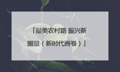 最美农村路 振兴新图景（新时代画卷）