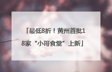 最低8折！黄州首批18家“小哥食堂”上新