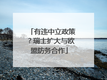 有违中立政策？瑞士扩大与欧盟防务合作